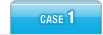 case1