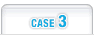case3